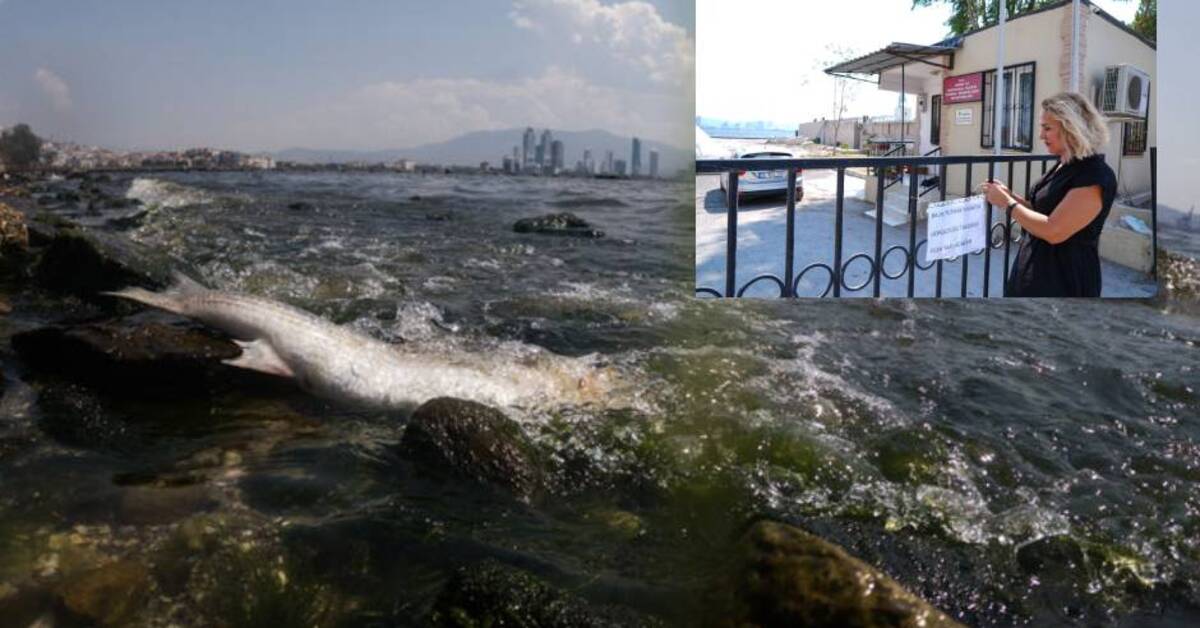 İzmir Körfezi’nde vatandaşlara muhtardan “afişli” uyarı!