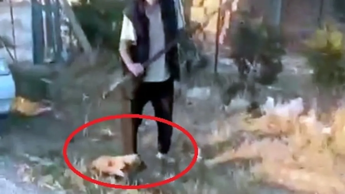 Yavru köpeği dirgenin sivri uçları ile defalarca vurarak öldürdü