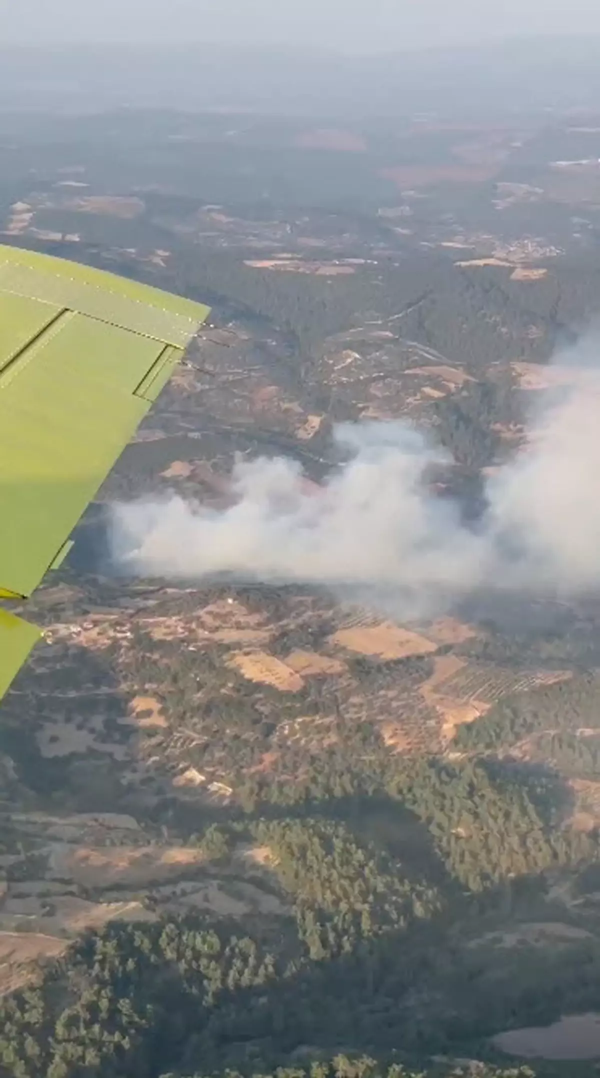 Bergama’da Orman Yangını Çıktı