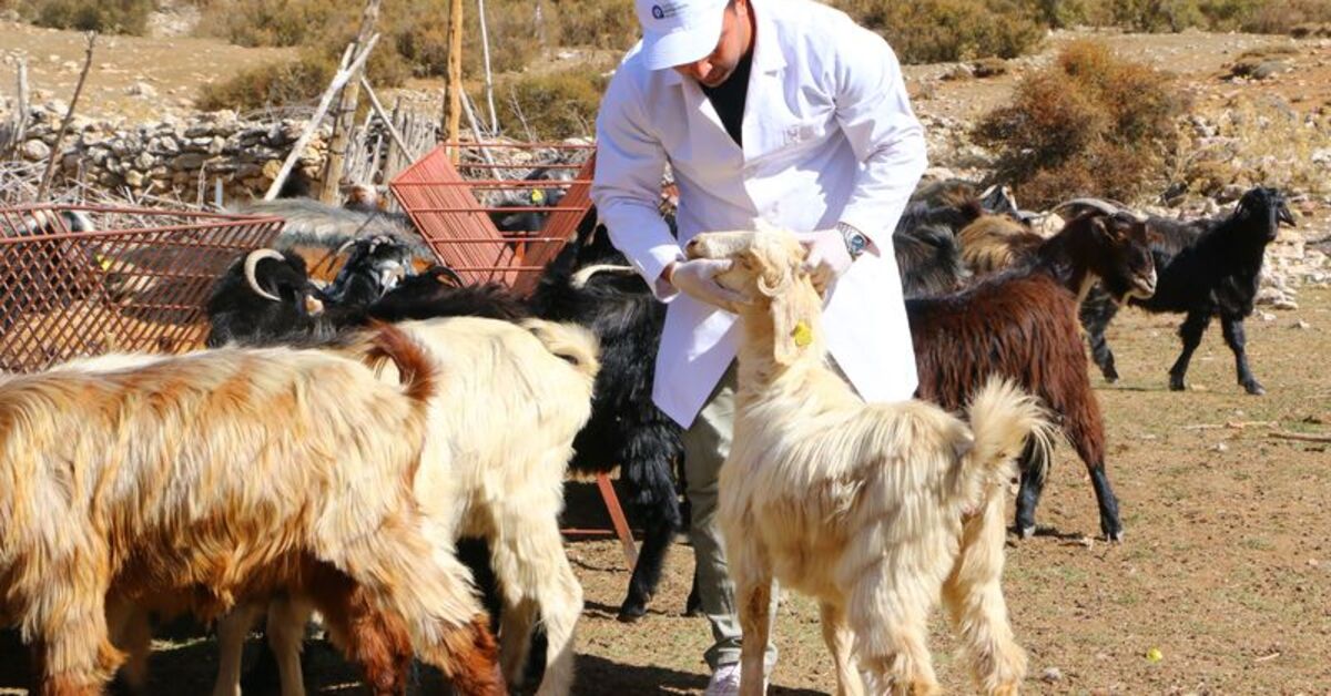 Antalya Büyükşehir’in Elmalı’daki “Çoban Haritası Projesi” tamamladı