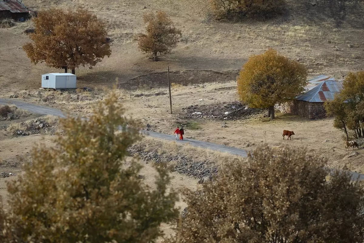 Bingöl’de Sonbahar Güzellikleri