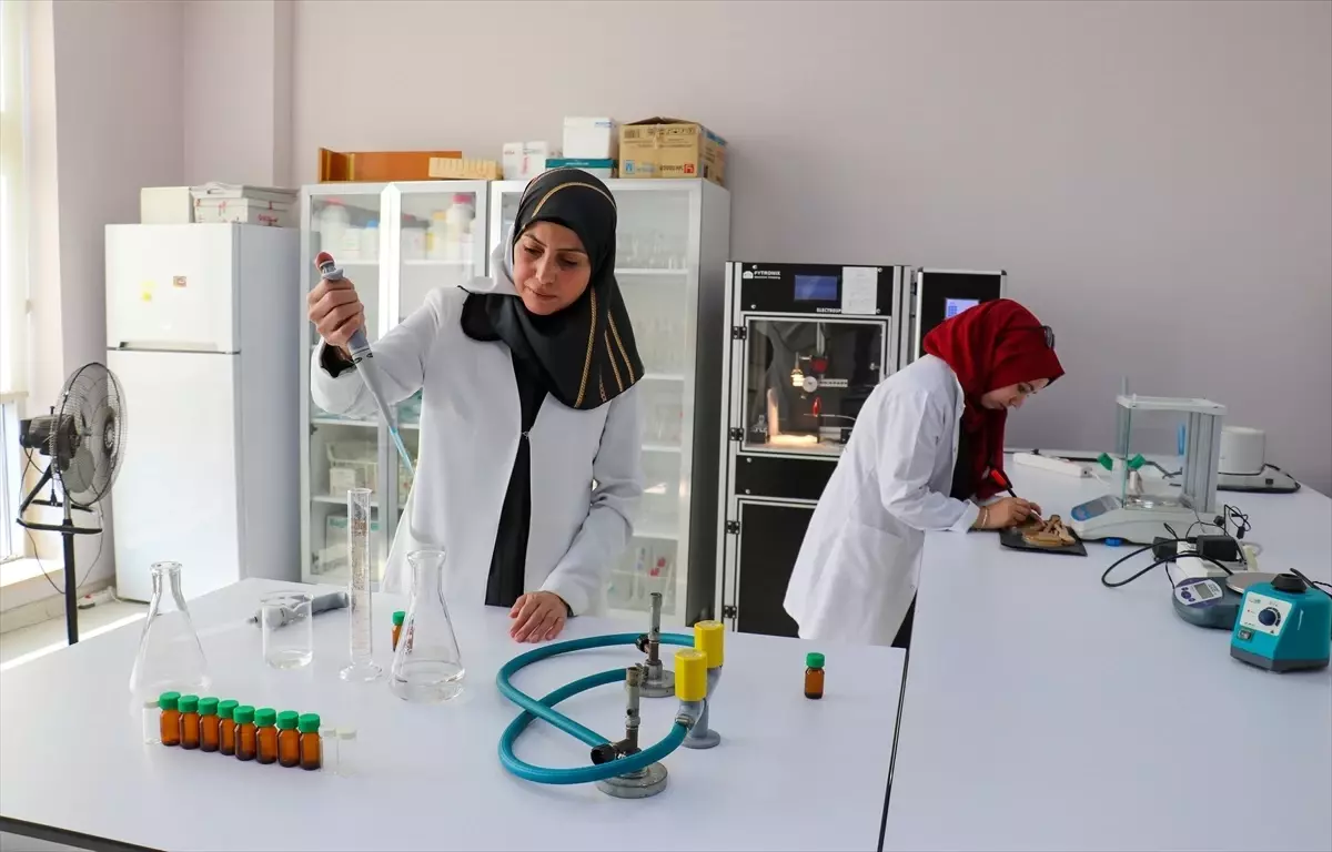 YYÜ’den Gıdaları Koruyan Nanolif Ürünü