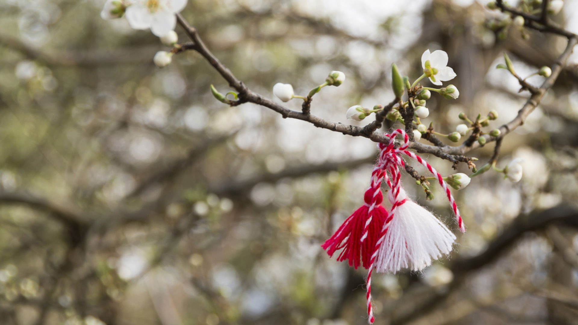Marteniçka nedir? Marteniçka hikayesi nedir?