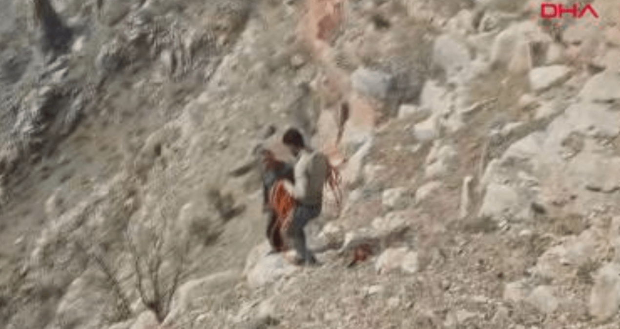 Uçurumda mahsur kalan keçilerin yardımına köylüler koştu